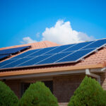 Tecnigatos Colombia Tecnigatos Colombia